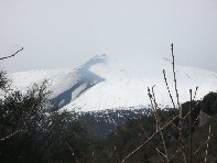 nte Cagliato-20110220 043
